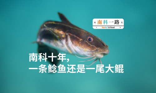 黄芽韭菜和韭黄的区别-【黄芽韭菜怎么做好吃】黄芽韭菜怎么做好吃 - 黄芽韭菜的吃法网